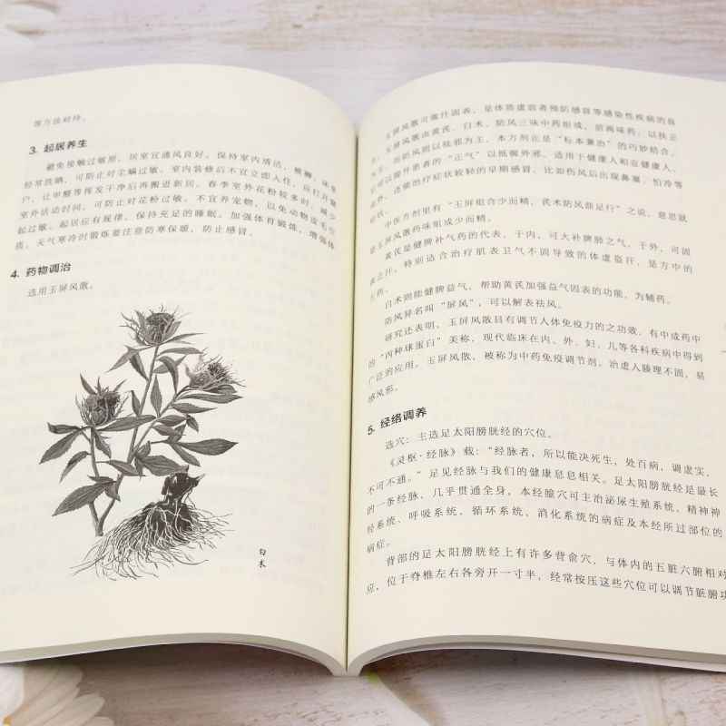 TCM Body Constitution Types Bo - Health Wellness Guide ulasan dan harga