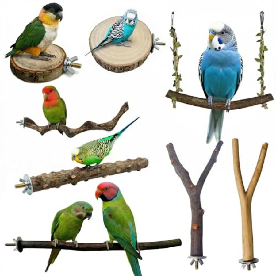 8PCS natural wood bird perches - Health & Wellness Fairs ulasan dan harga