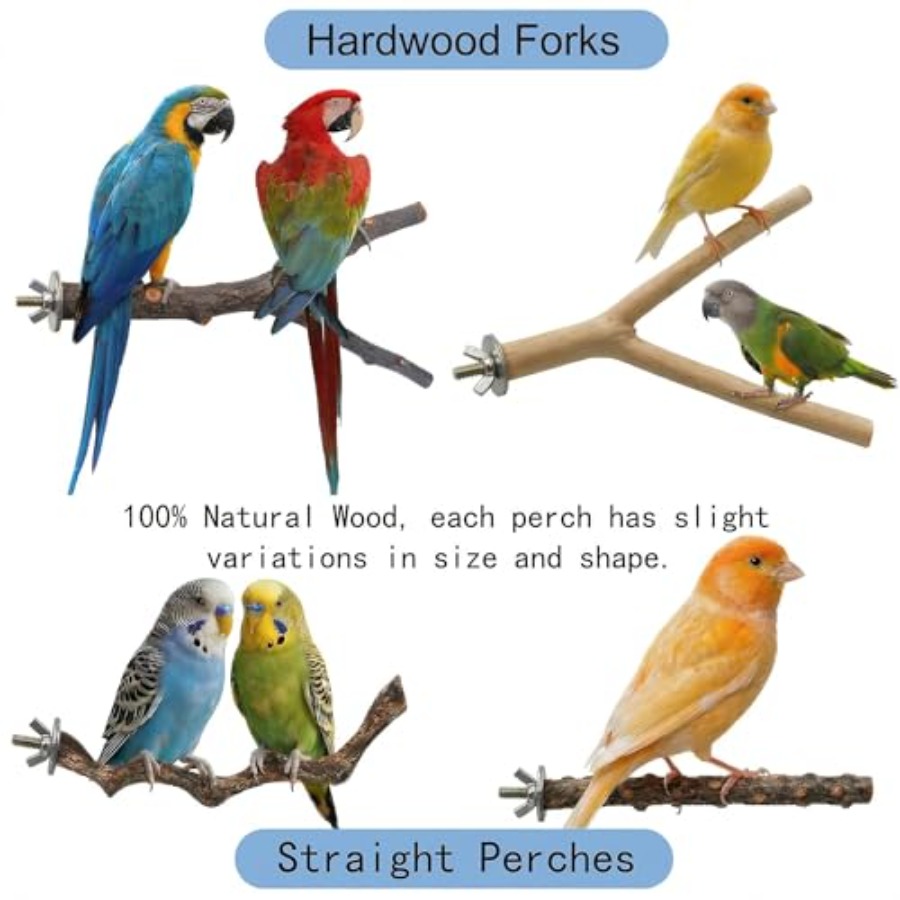 8PCS natural wood bird perches - Health & Wellness Fairs ulasan dan harga